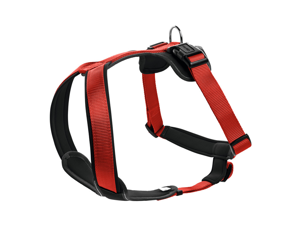 Geschirr Neopren S, rot/schwarz