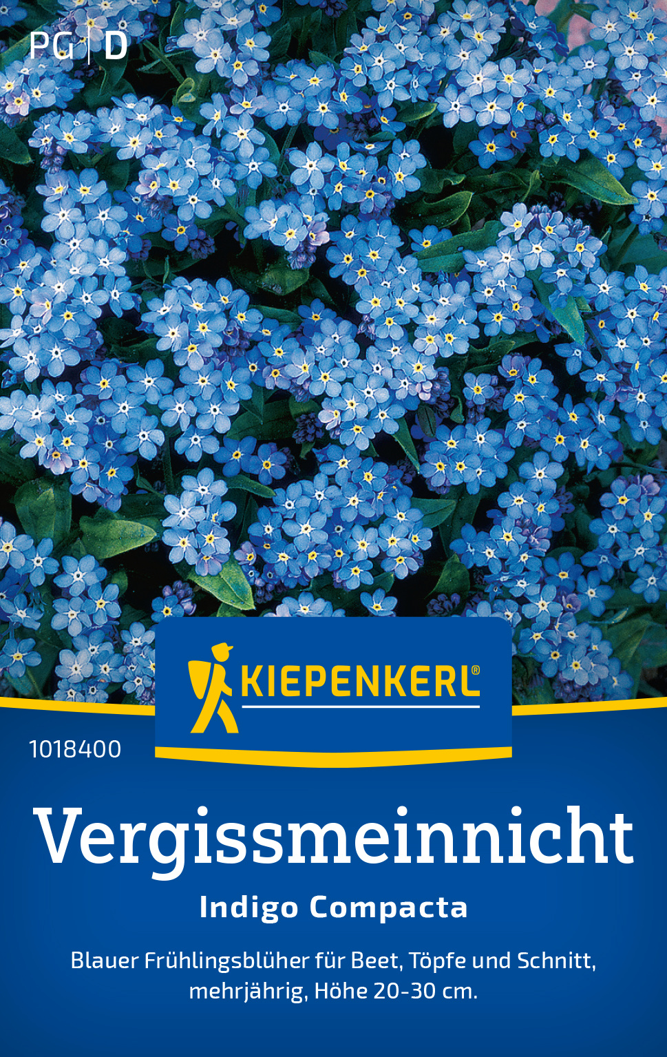 Vergissmeinnicht Indigo Compacta