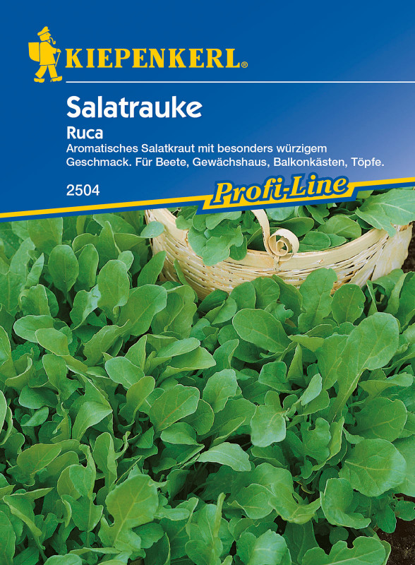 Salatrauke Ruca / Eruca sativa