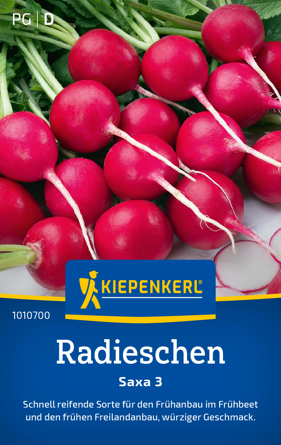 Radieschen Saxa 3