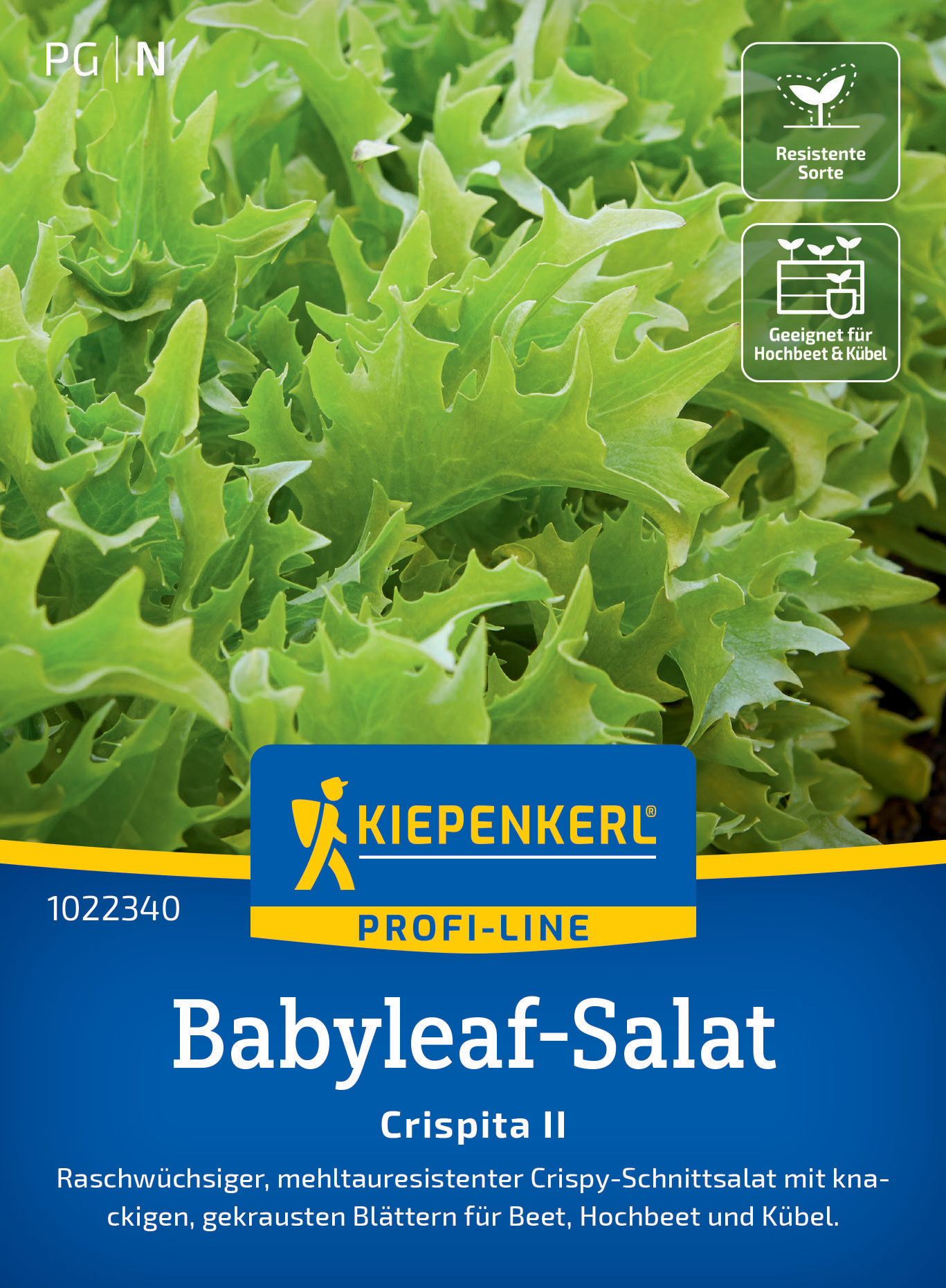 Babyleaf-Salat Crispita II