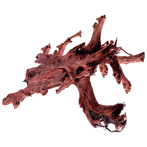 Mangrovenholz XXXL, 90-110 cm - Die abgebildete Wurzel ist nur beispielhaft. Da es sich um ein Naturprodukt handelt ist jede Wurzel vom Aussehen her anders.