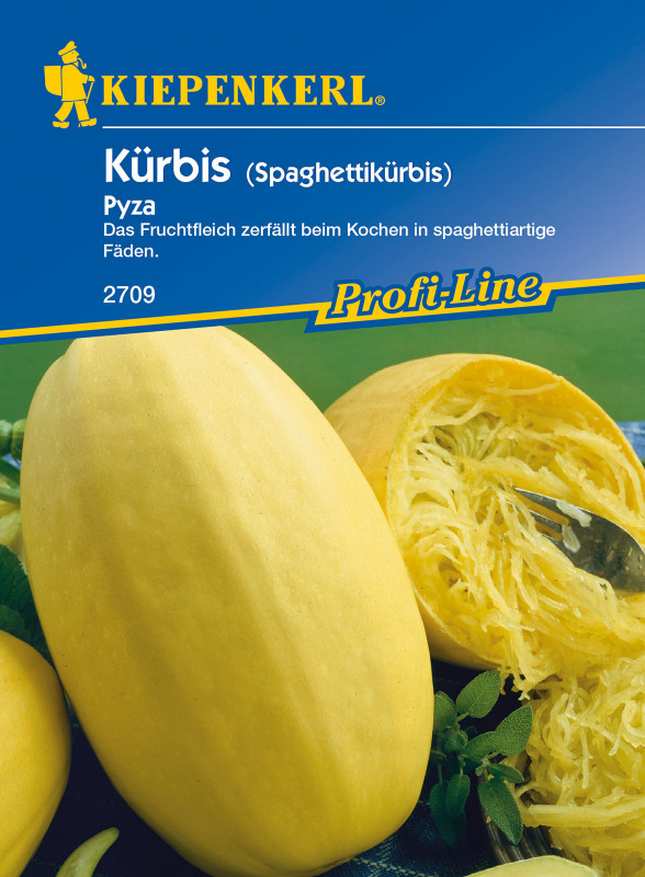 Kürbis 'Pyza' / Cucurbita pepo