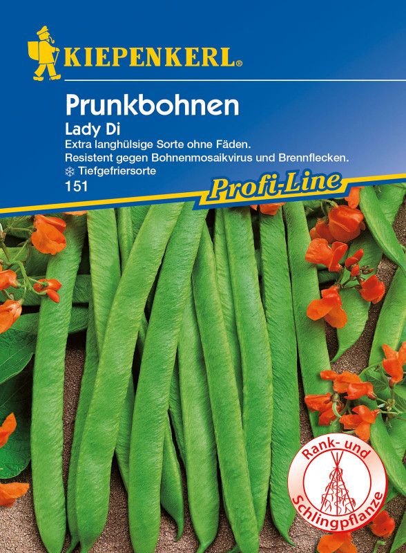 Prunkbohne Lady Di / Phaseolus coccineus