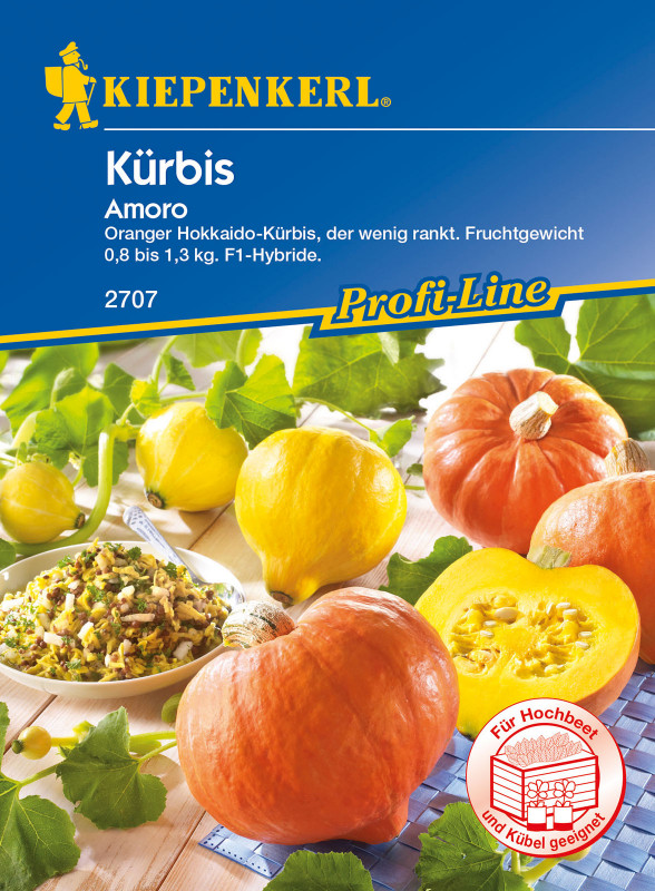 Kürbis ´Amoro´ / Cucurbita maxima