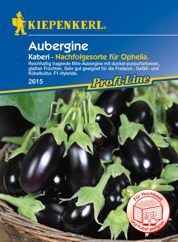 Aubergine Kaberi / Solanum melongena