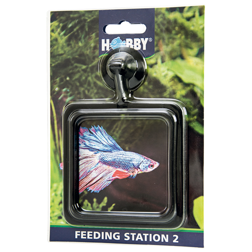 Feeding Station 2, 10 x 10 cm, eckig, SB