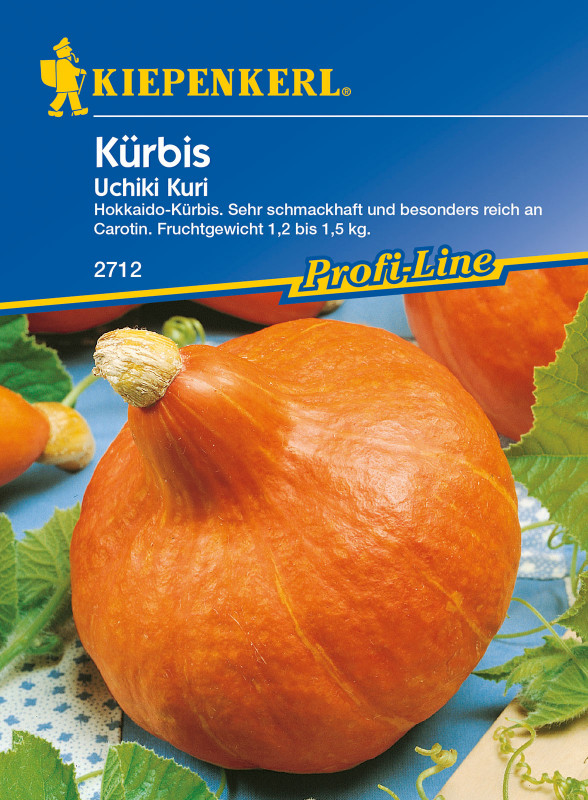 Kürbis Uchiki Kuri, F1 / Cucurbita moschata