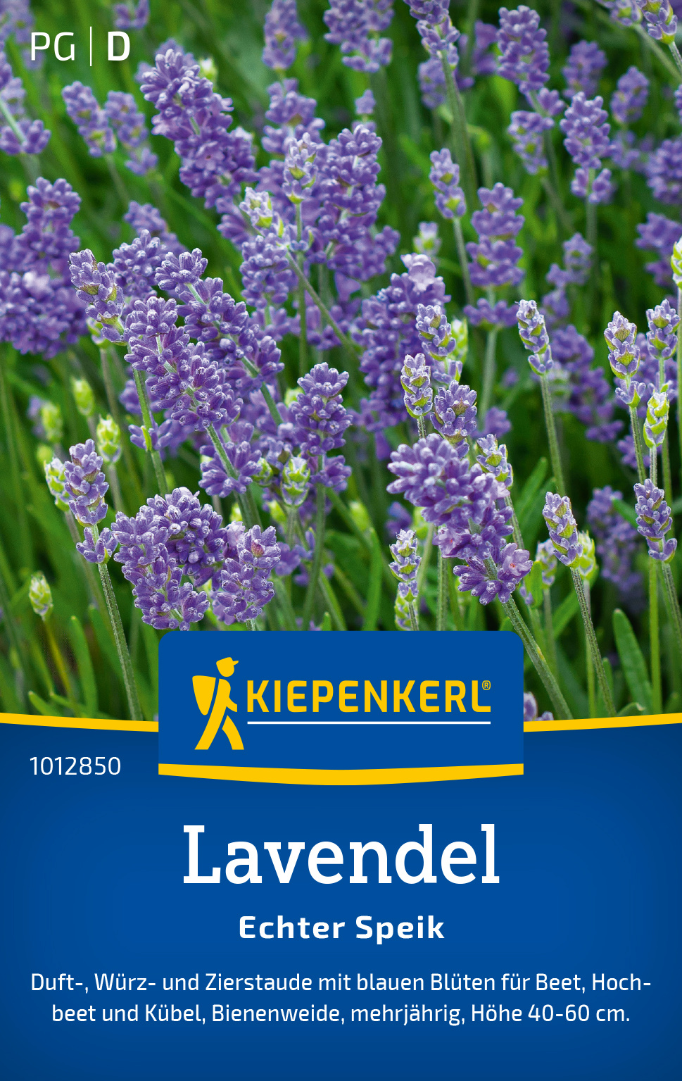 Lavendel Echter Speik