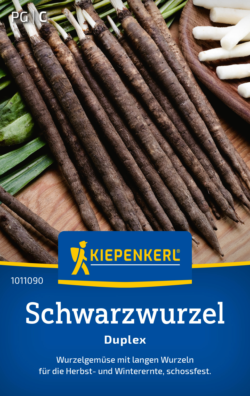 Schwarzwurzel Duplex