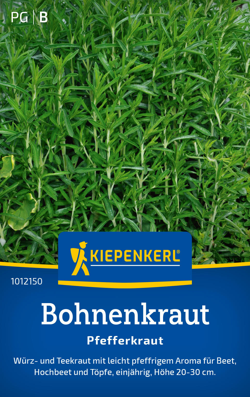 Bohnenkraut Pfefferkraut