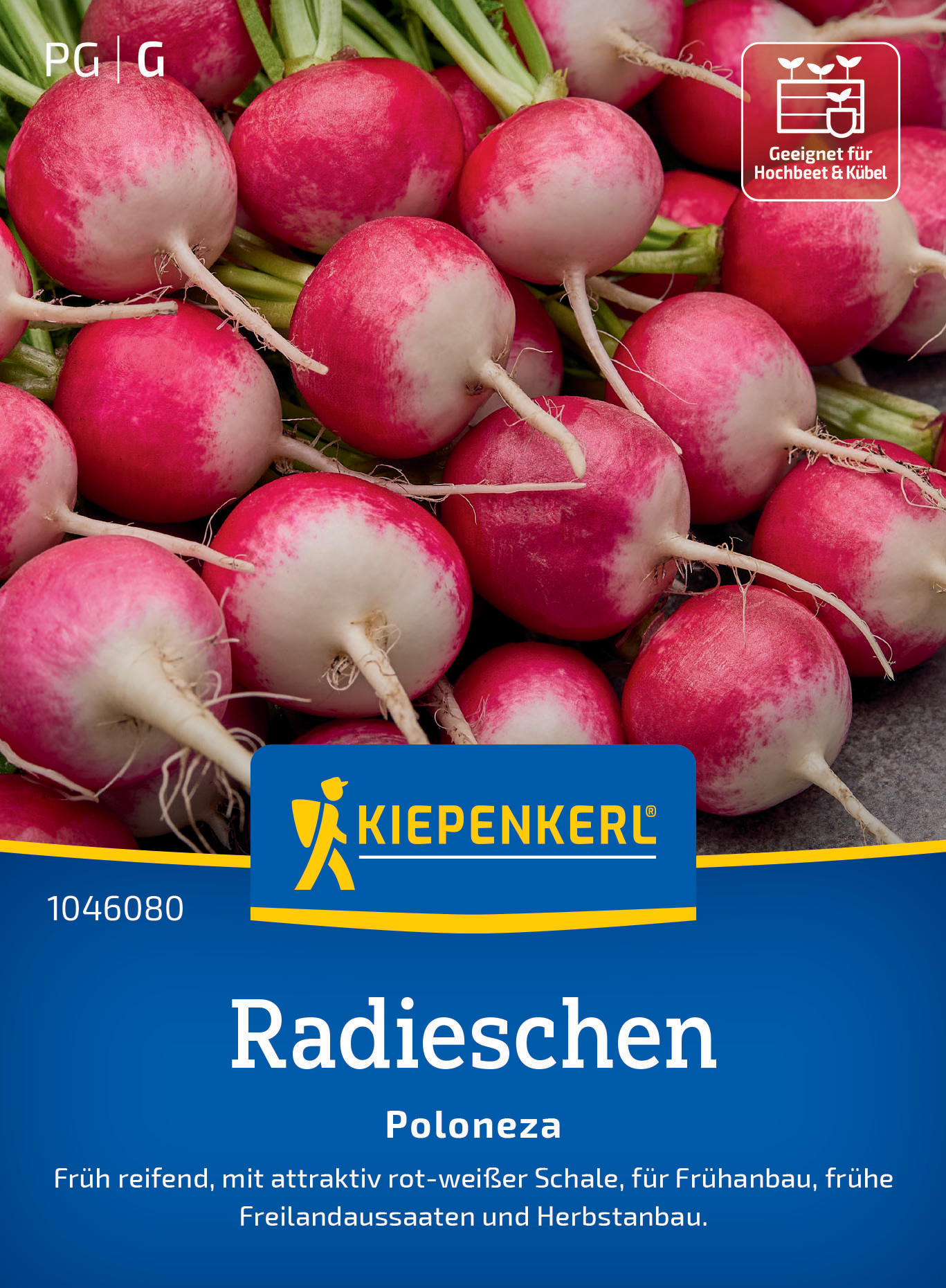 Radieschen Poloneza