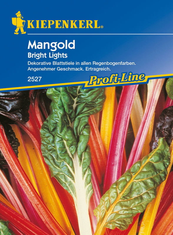 Mangold Bright Lights / Beta vulgaris var. vulgaris