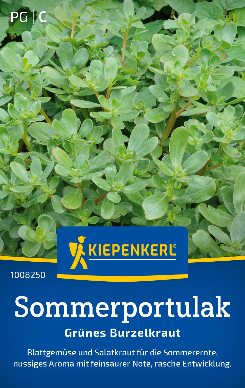 Portulak Sommerportulak