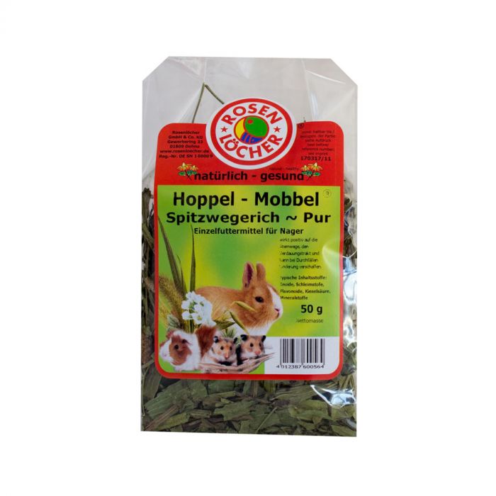 Spitzwegerich 50g Spitzwegerich 50g