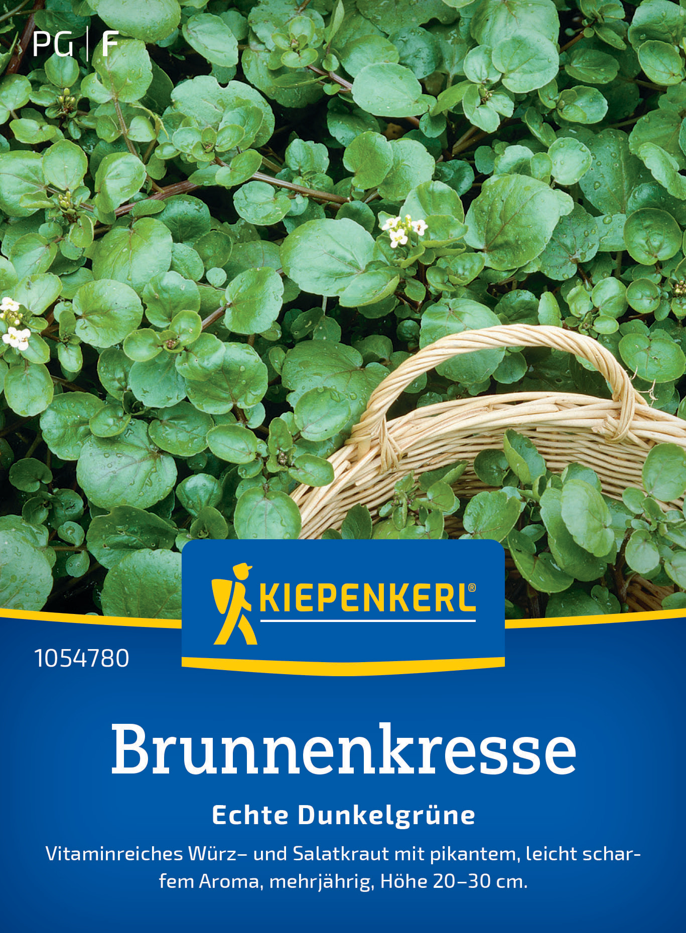 Brunnenkresse Echte Dunkelgrüne