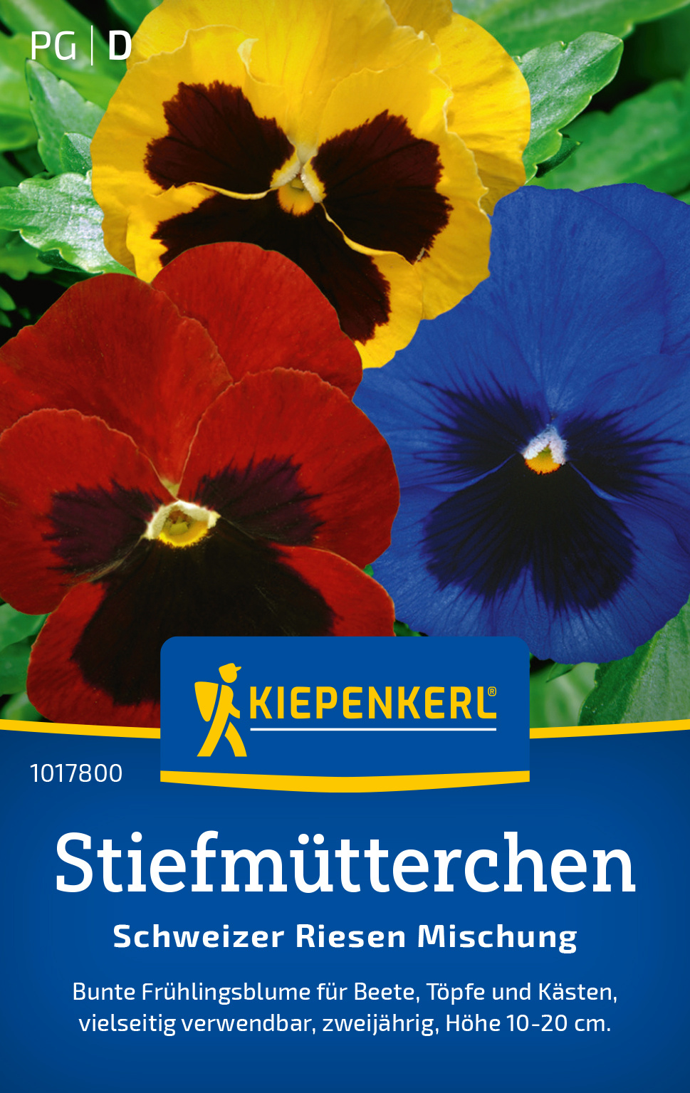 Stiefmütterchen Schweizer Riesen Mischung