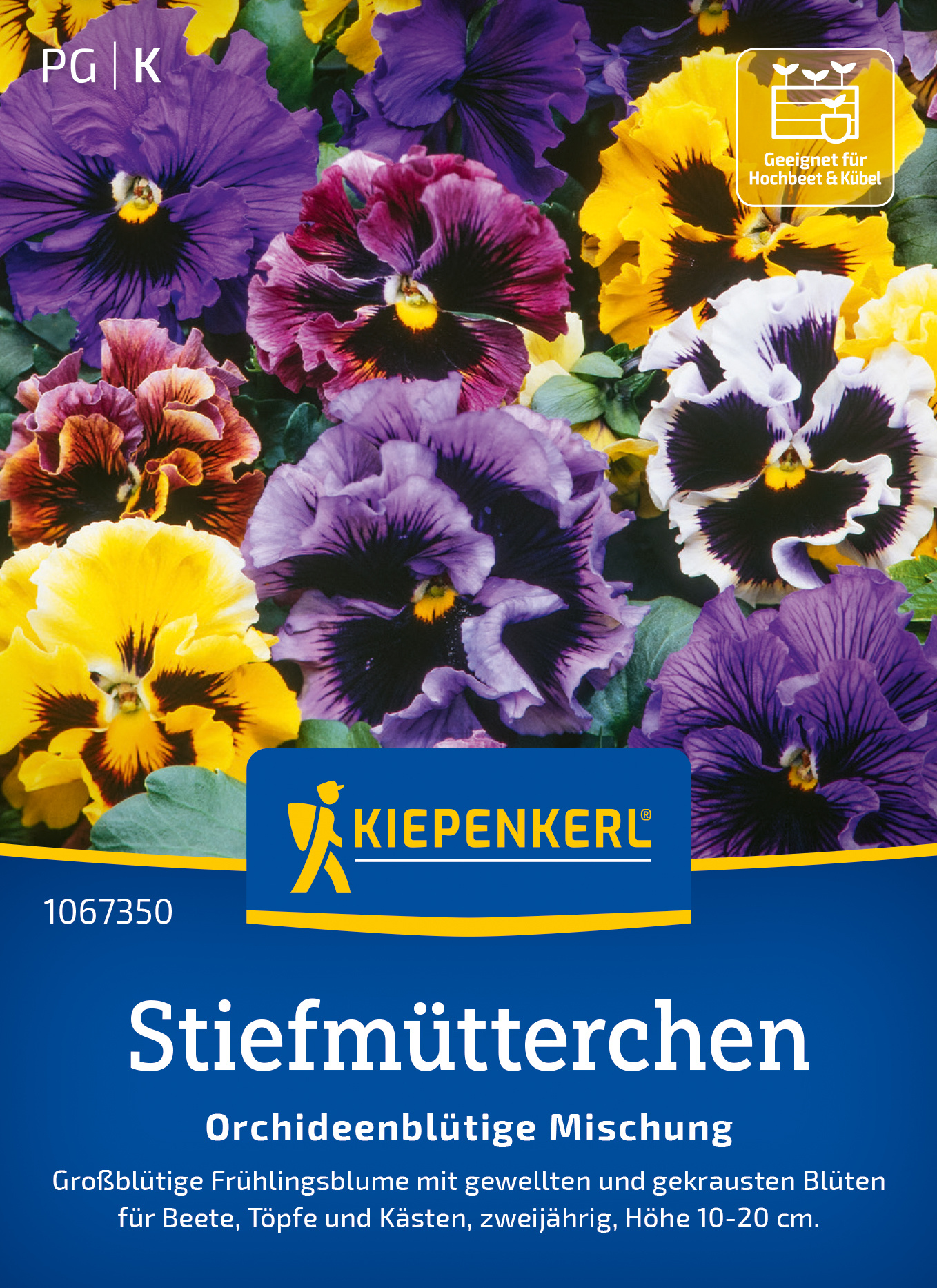 Stiefmütterchen Orchideenblütige Mischung