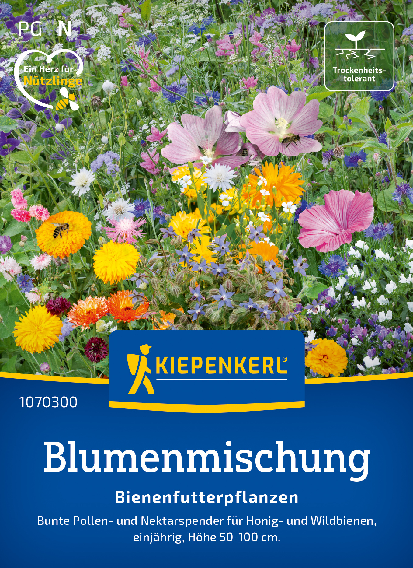 Blumenmischung Bienenfutterpflanzen