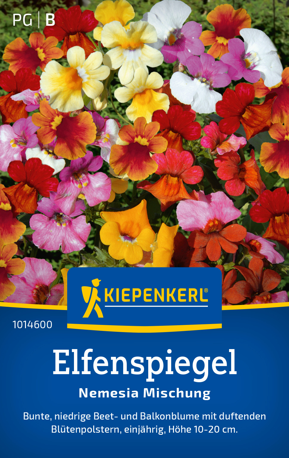 Elfenspiegel Nemesia Mischung