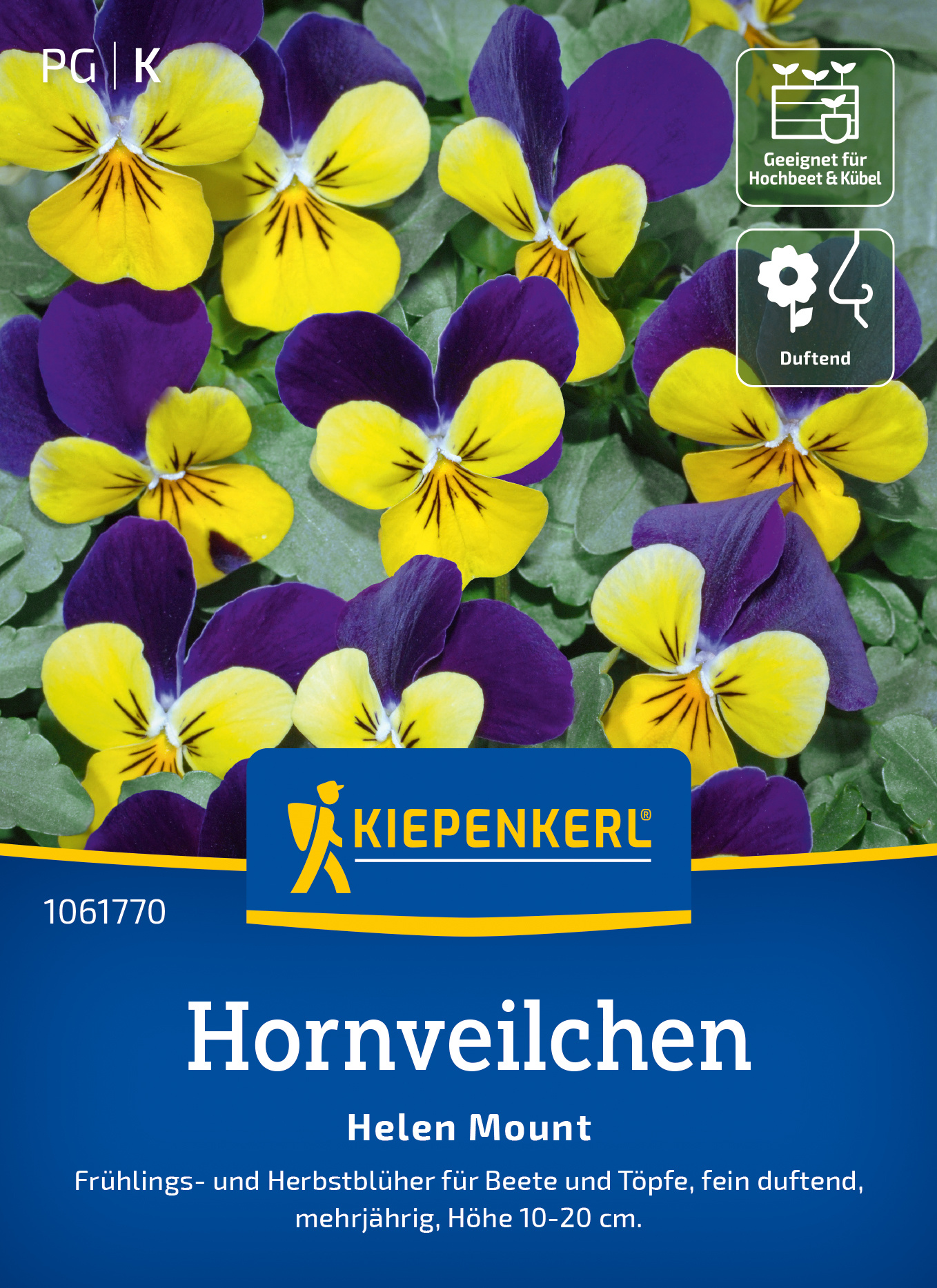 Hornveilchen Helen Mount