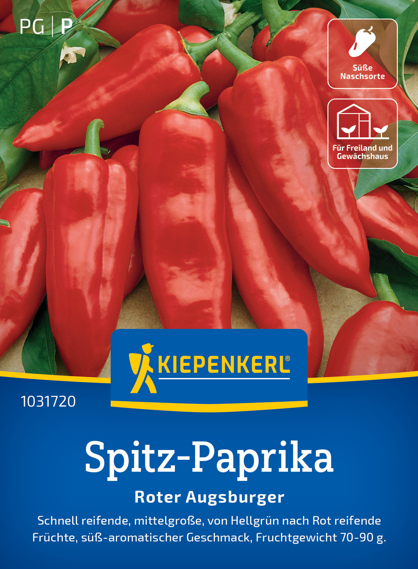 Spitz-Paprika Roter Augsburger