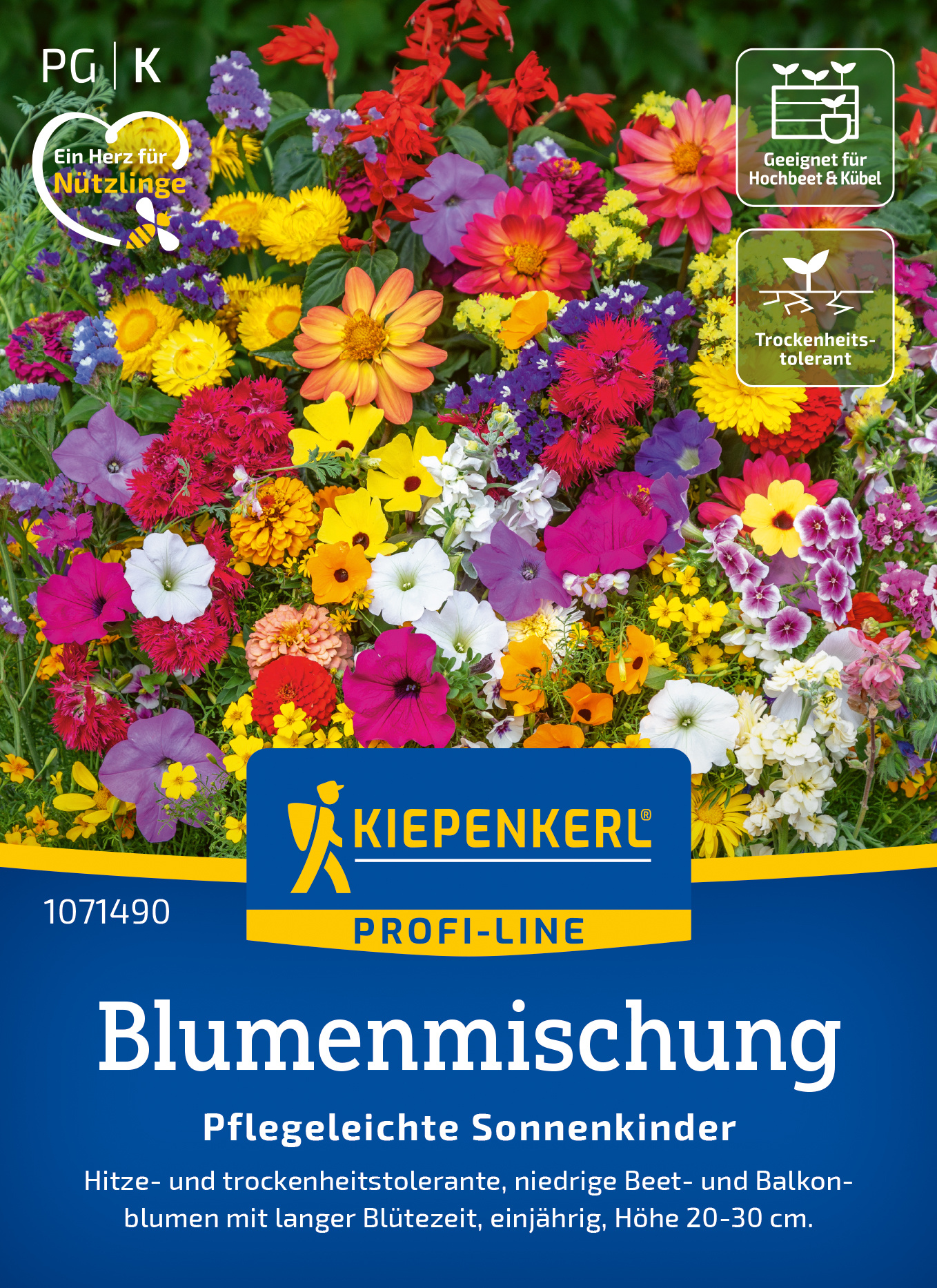 Blumenmischung Pflegeleichte Sonnenkinder