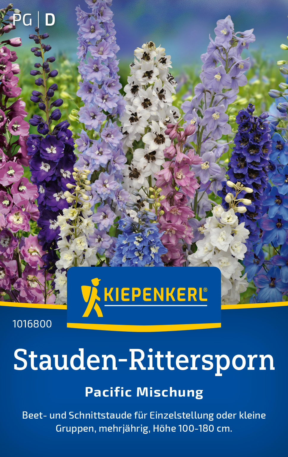 Stauden-Rittersporn Pacific Mischung