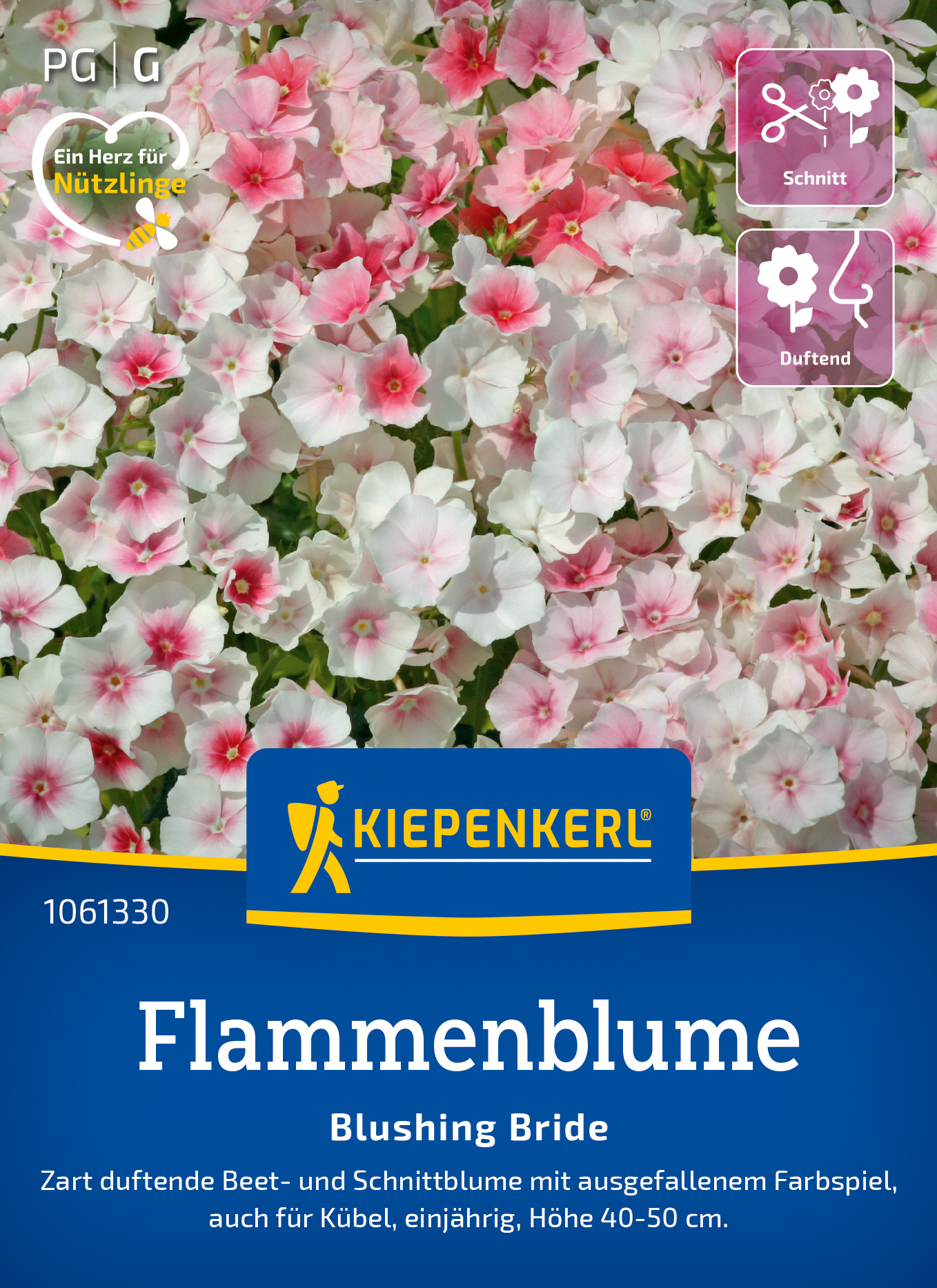 Flammenblumensamen Blushing Bride