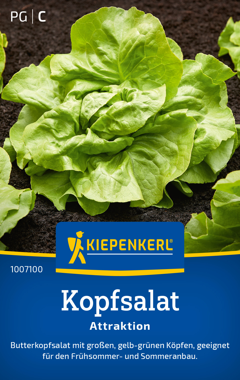 Kopfsalat Attraktion