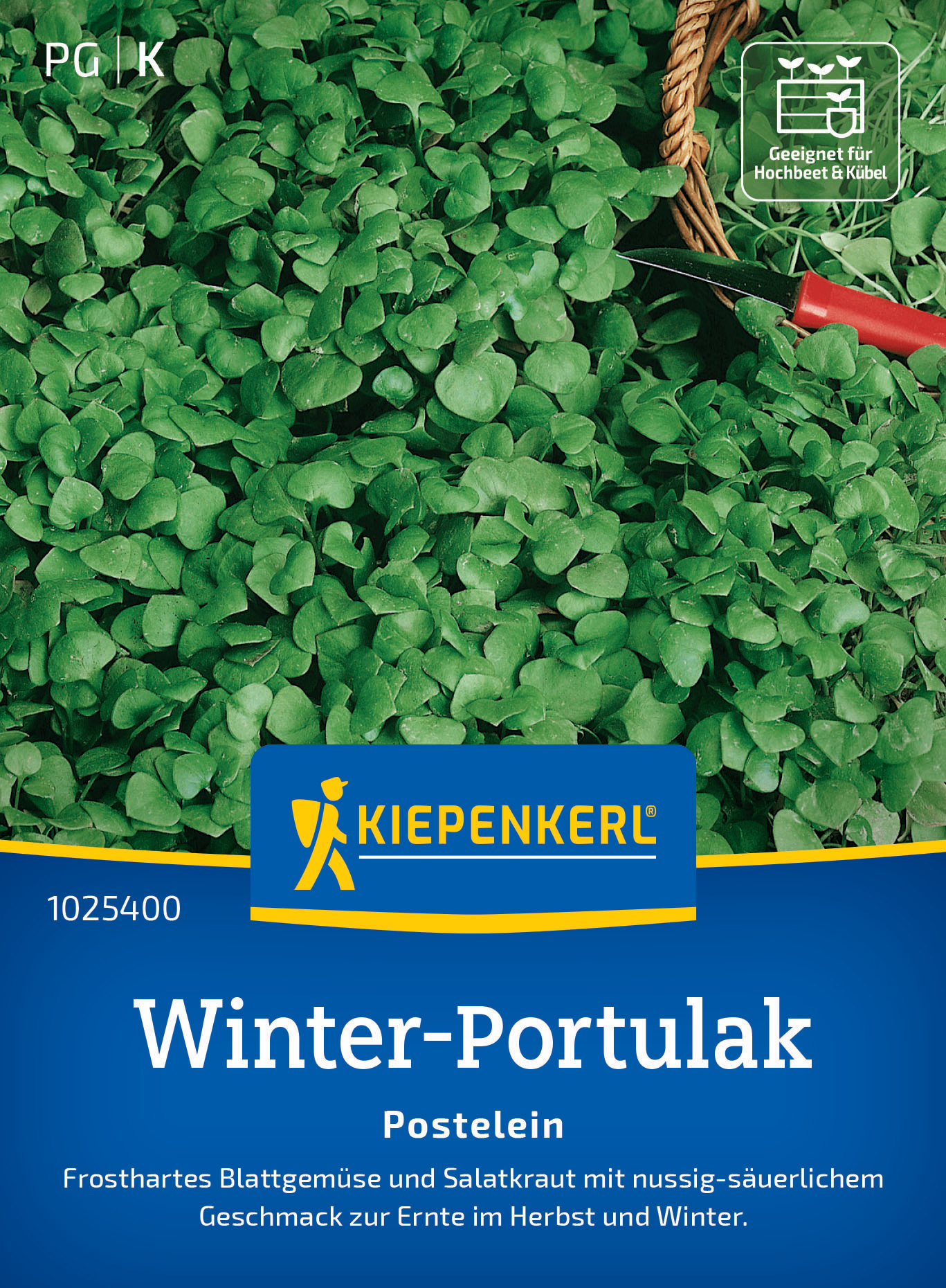 Portulak Winterportulak