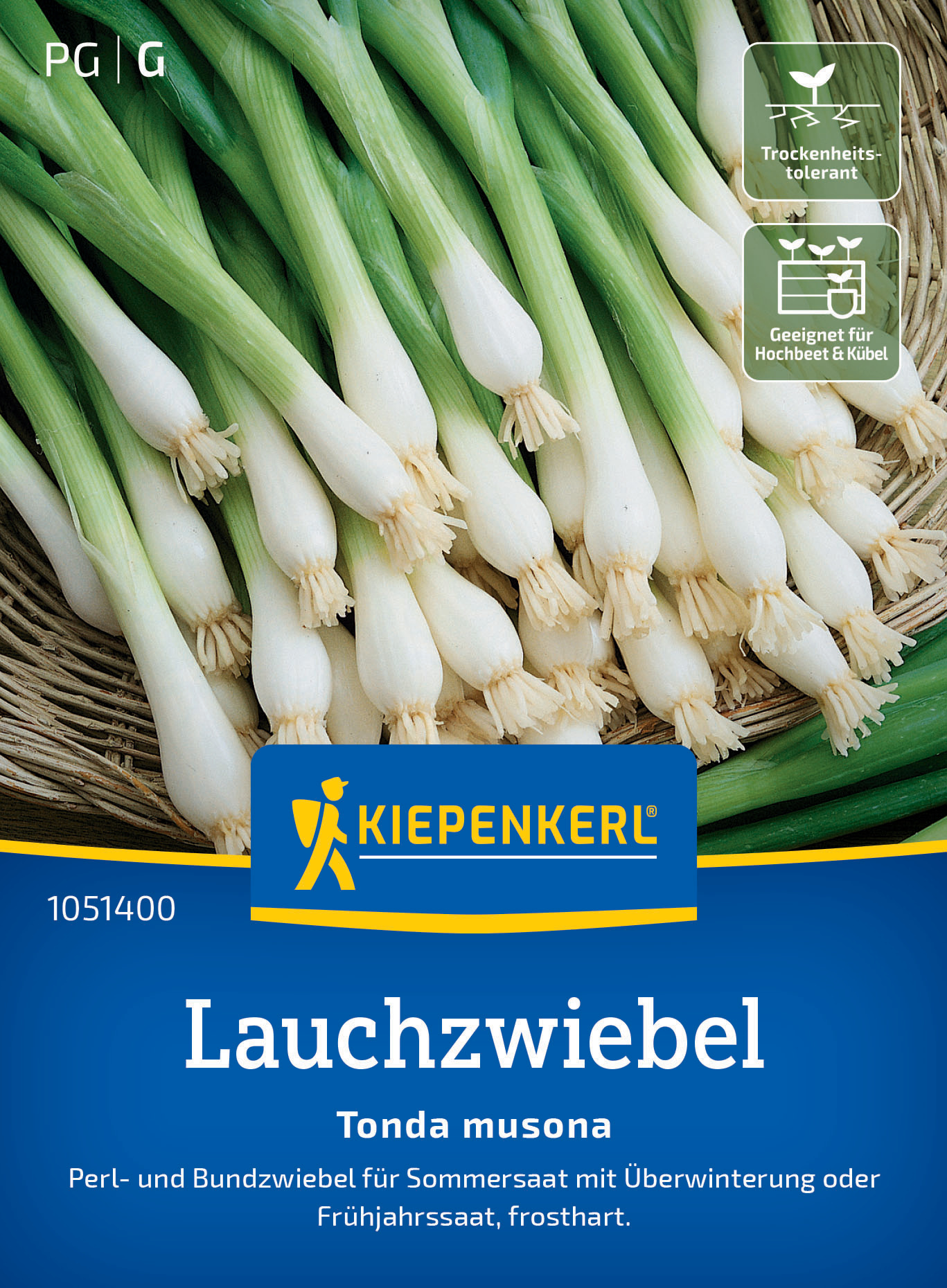 Lauchzwiebel Tonda Musona