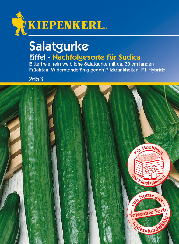 Salatgurke 'Eiffel F1' / Cucumis sativus