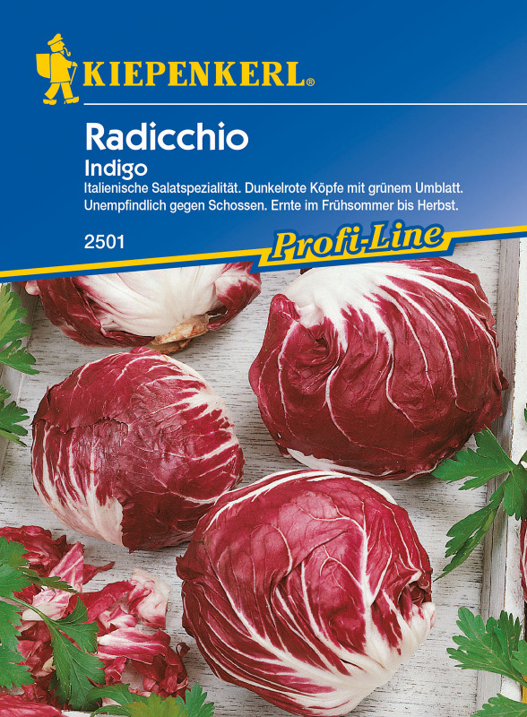 Radicchio Indigo / Chicorium intybus var. foliosum