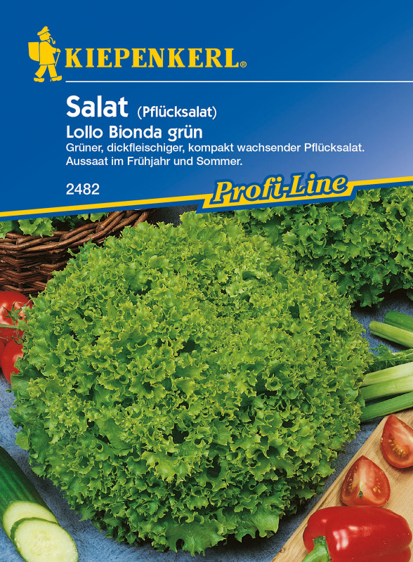 Pflücksalat Lollo Bionda grün / Lactuca sativa var.crispa