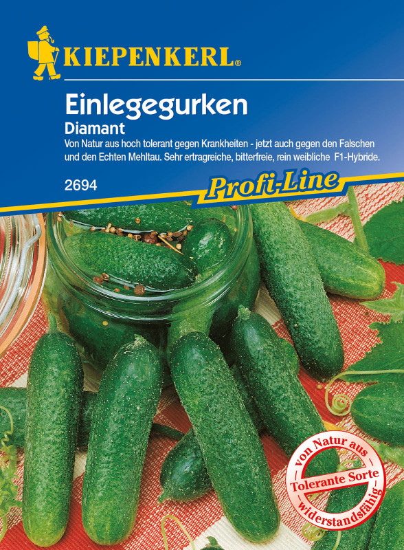 Gurken (Einlegegurke) Diamant, F1 / Cucumis sativus