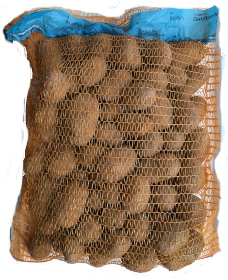 Pflanzkartoffeln Bernina  5 kg