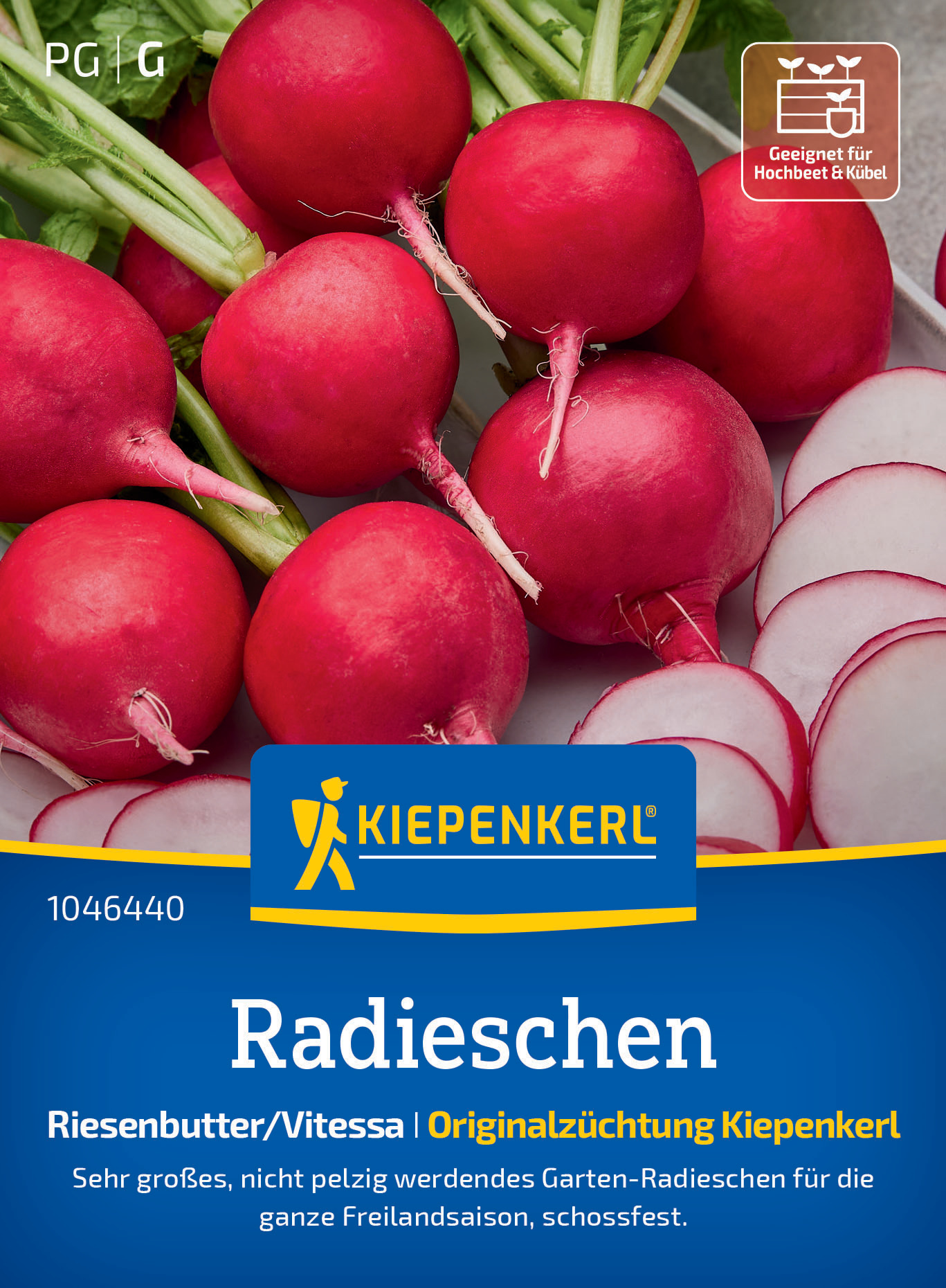 Radieschen Riesenbutter/Vitessa