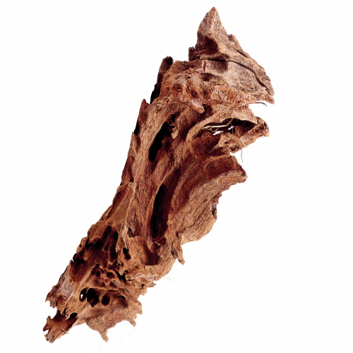 Mangrovenholz XS, 10-15 cm - Die abgebildete Wurzel ist nur beispielhaft. Da es sich um ein Naturprodukt handelt ist jede Wurzel vom Aussehen her anders.