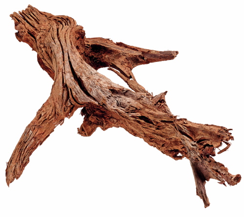 Mangrovenholz M, 25-35 cm - Die abgebildete Wurzel ist nur beispielhaft. Da es sich um ein Naturprodukt handelt ist jede Wurzel vom Aussehen her anders.