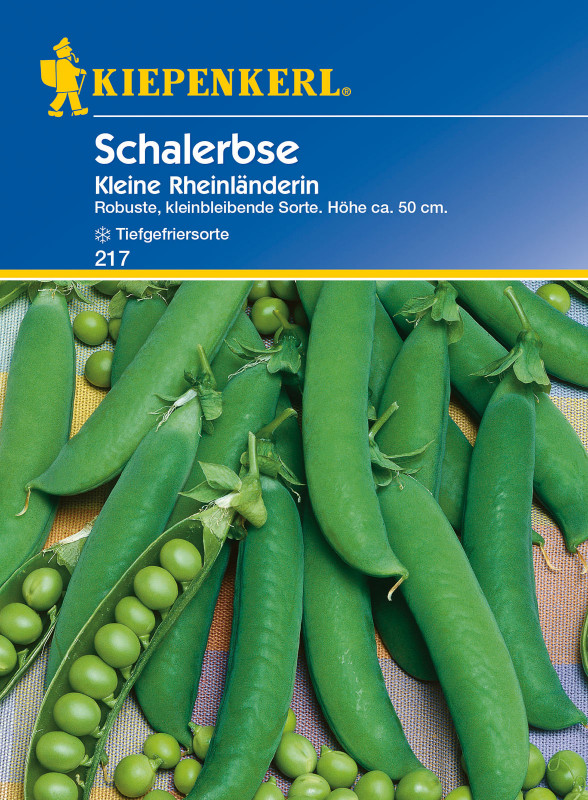 Schalerbsen Kleine Rheinländerin / Pisum sativum