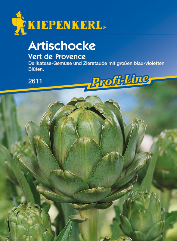 Artischocken Vert de Provence / Cynara cardunculus