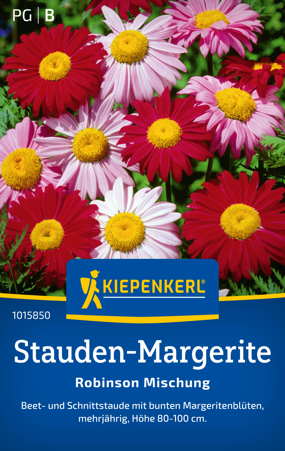 Stauden-Margerite Robinson Mischung