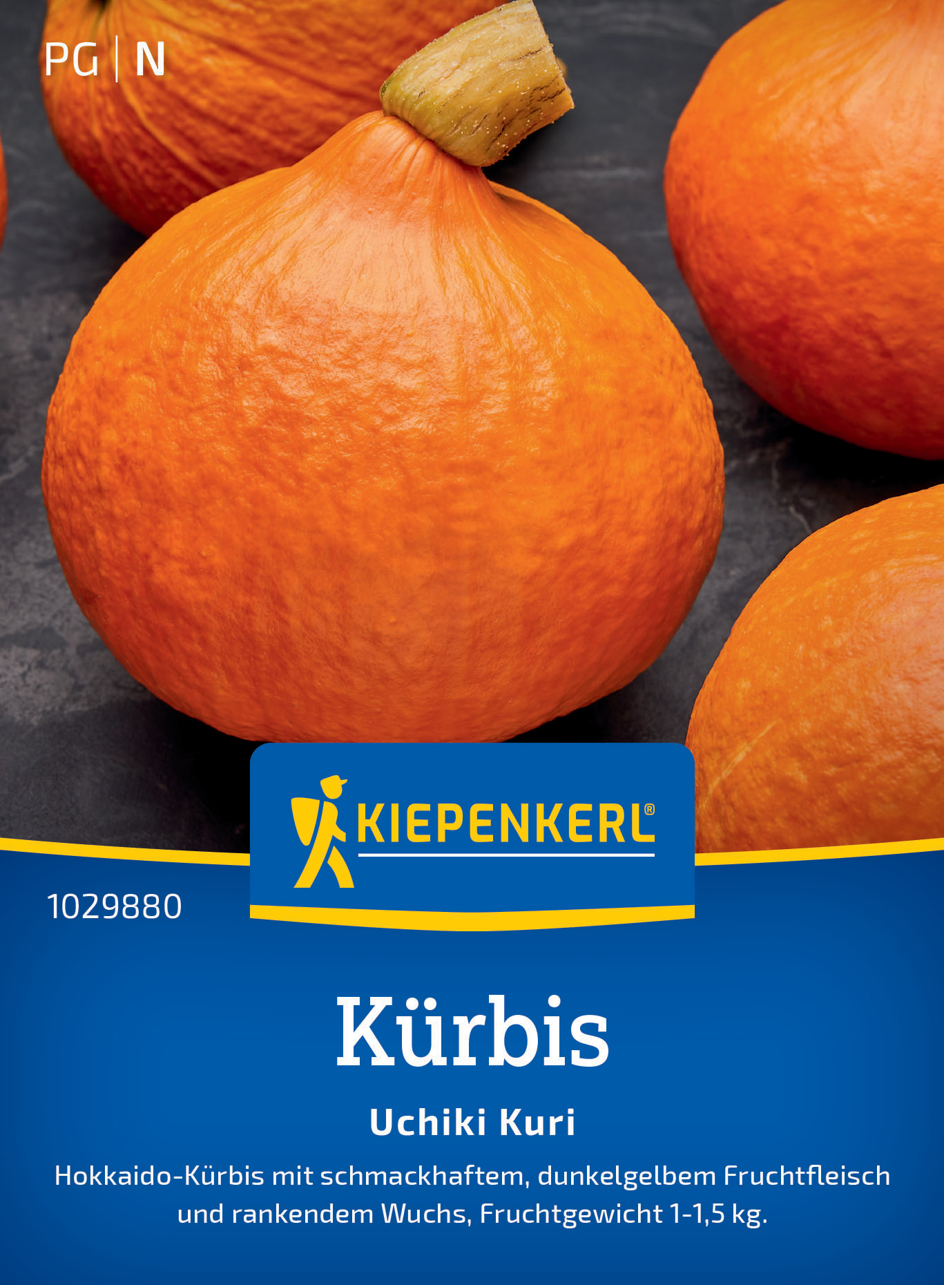 Kürbis Uchiki Kuri