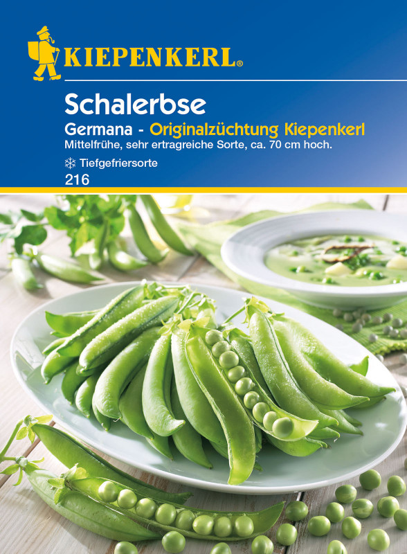 Schalerbsen Germana / Pisum sativum