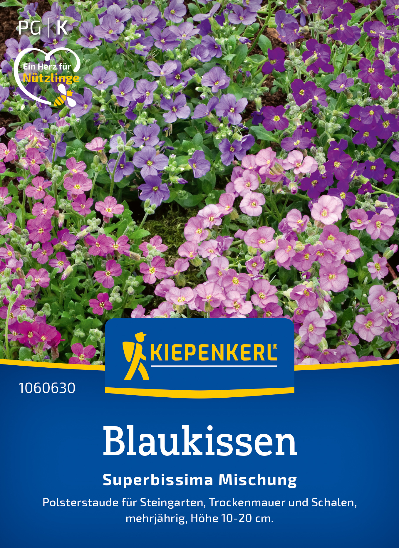 Blaukissen Superbissima Mischung