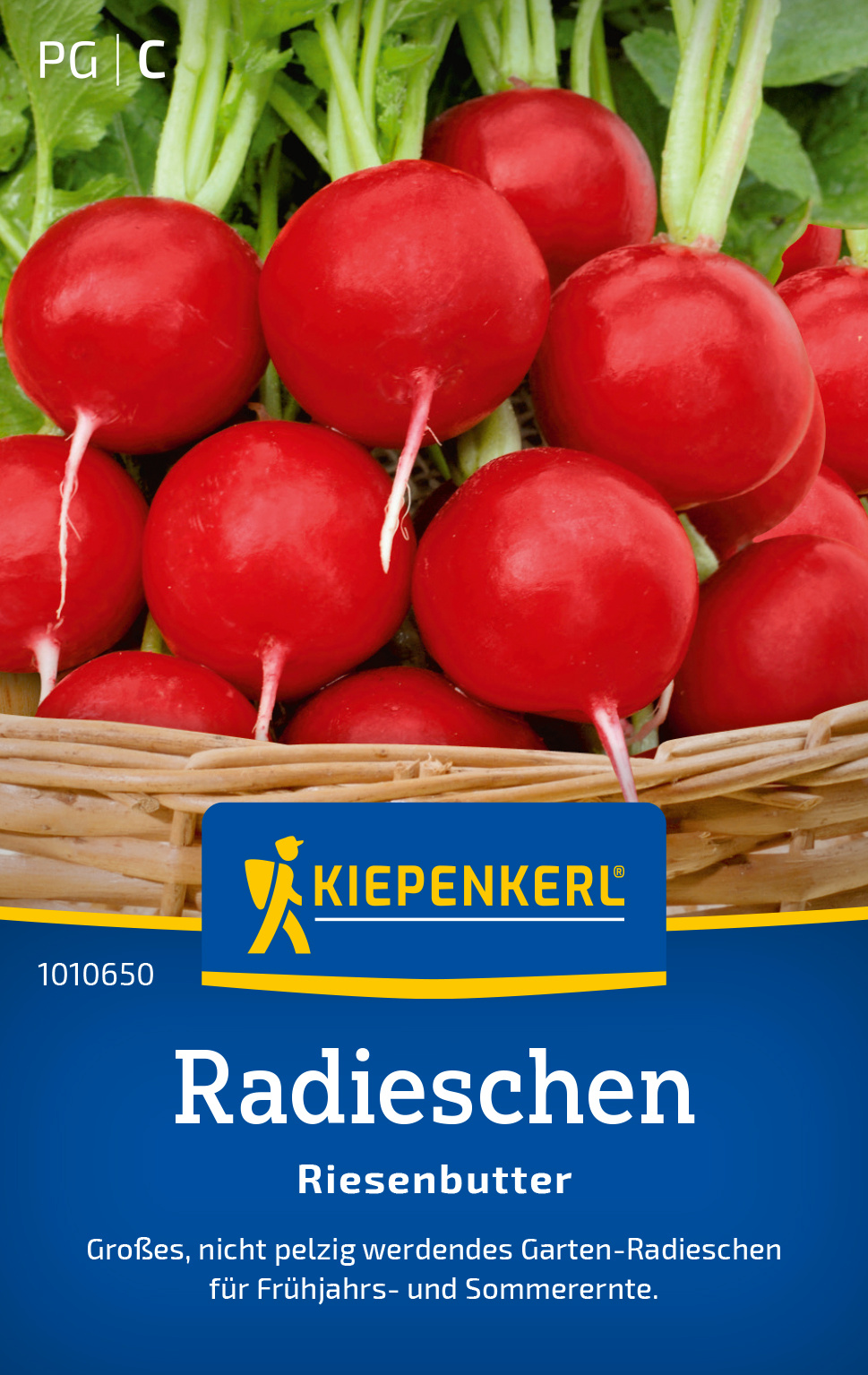 Radieschen Riesenbutter