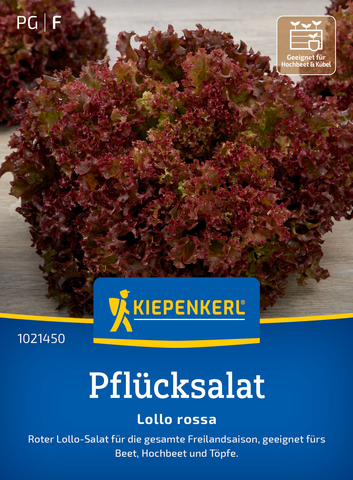 Pflücksalat Lollo rossa