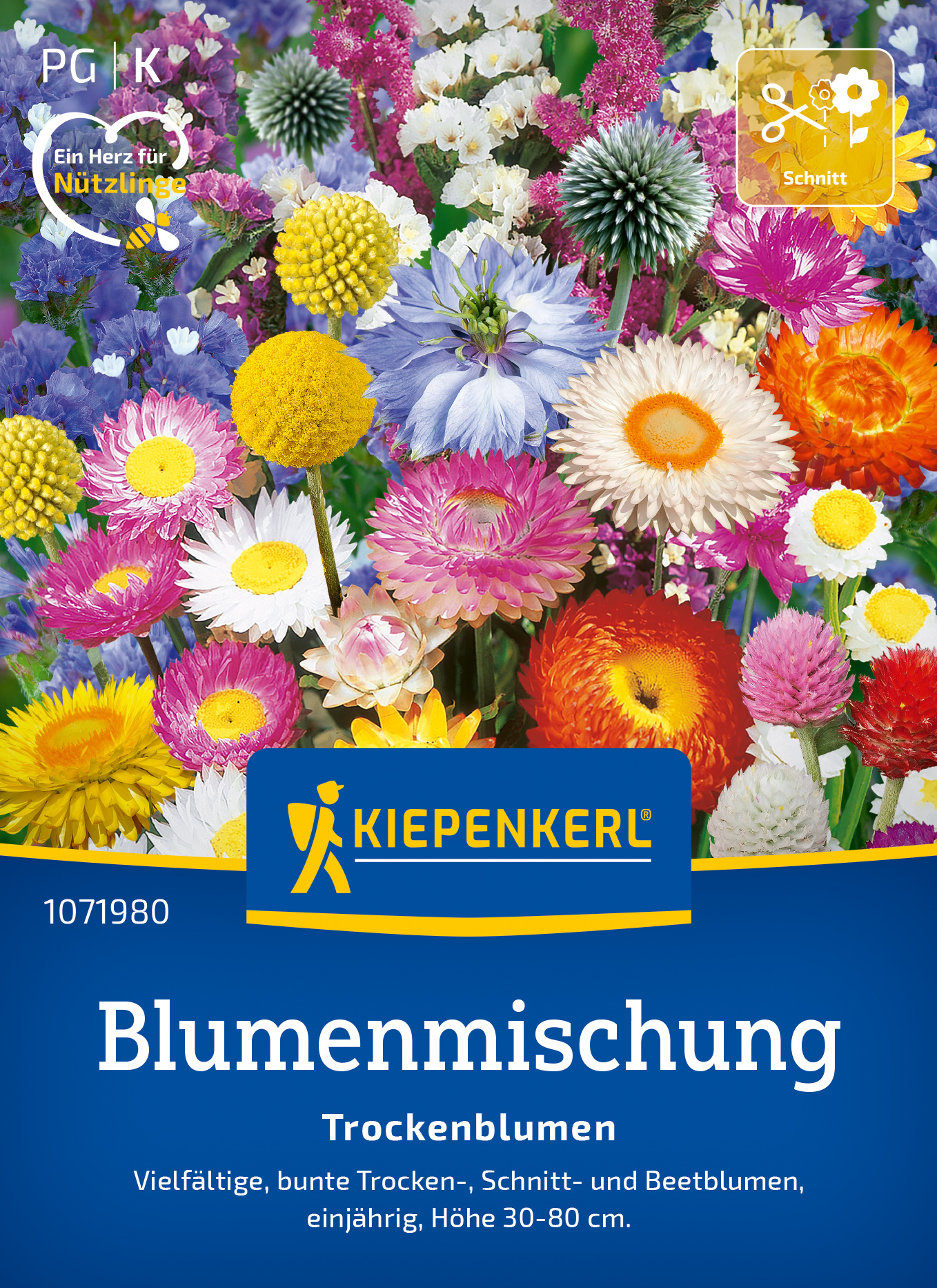 Blumenmischung Trockenblumen