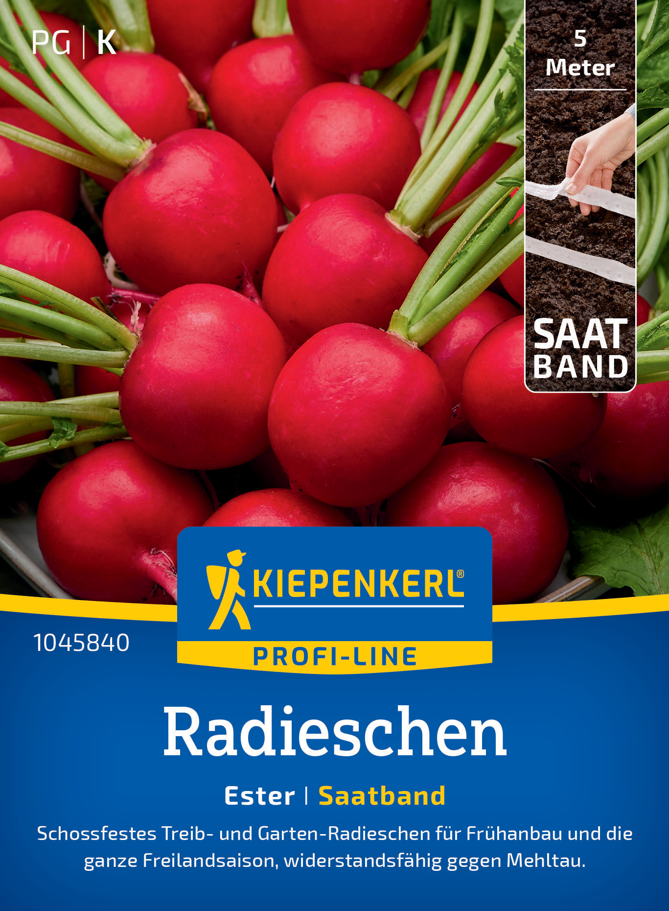 Radieschen Ester, Saatband